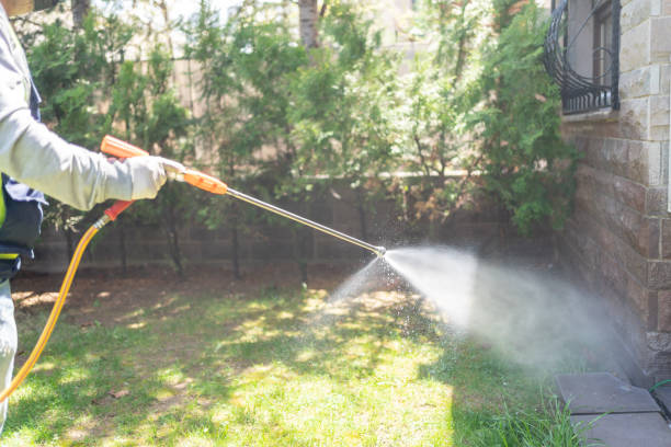 Best Local Pest Control Services  in Chesterfield, IN