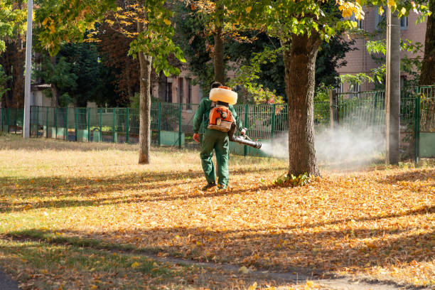 Best Pest Control for Homes  in Chesterfield, IN