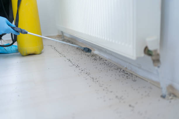 Best Residential Pest Control  in Chesterfield, IN