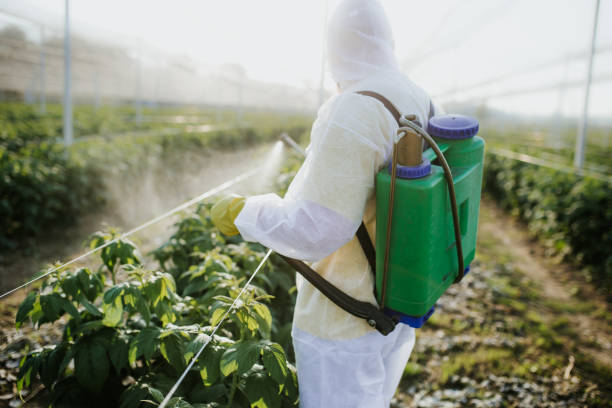 Best Emergency Pest Control  in Chesterfield, IN